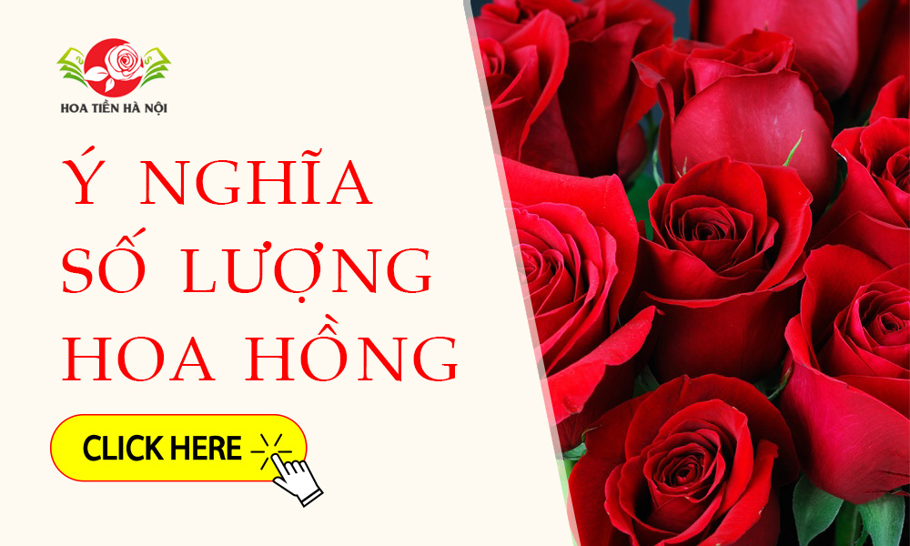 ý nghĩa số lượng hoa hồng