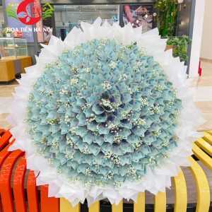 Bó hoa tiền 100 Triệu (Tiểu Bạch)