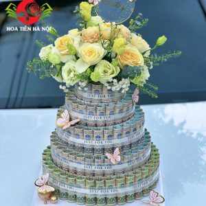 Bánh sinh nhật bằng tiền 50 triệu hồ điệp
