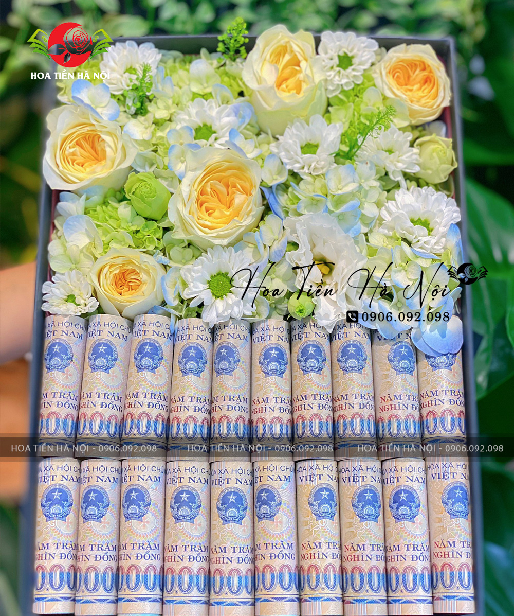 Hộp hoa tiền cẩm tú cầu