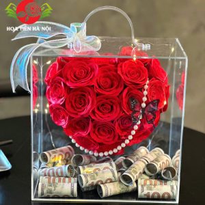 Vali mika tiền (Trái tim thiên thần)