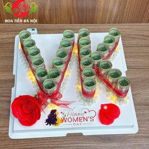 Cốt bánh sinh nhật bằng tiền chữ VK