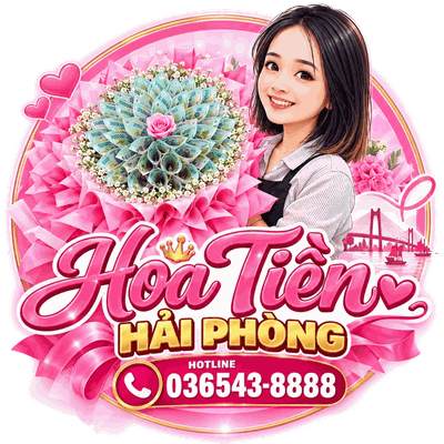 Hoa Tiền Hải Phòng